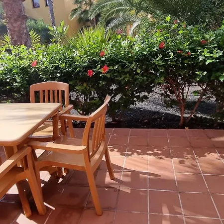 Mit Terrasse Und Gemeinschaftspool